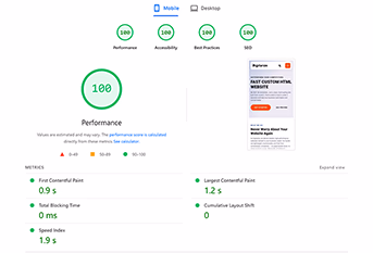 Google Lighthouse mobile performance audit dashboard showing a perfect 100 score for performance, accessibility, best practices, and SEO on a Digitarize custom website.